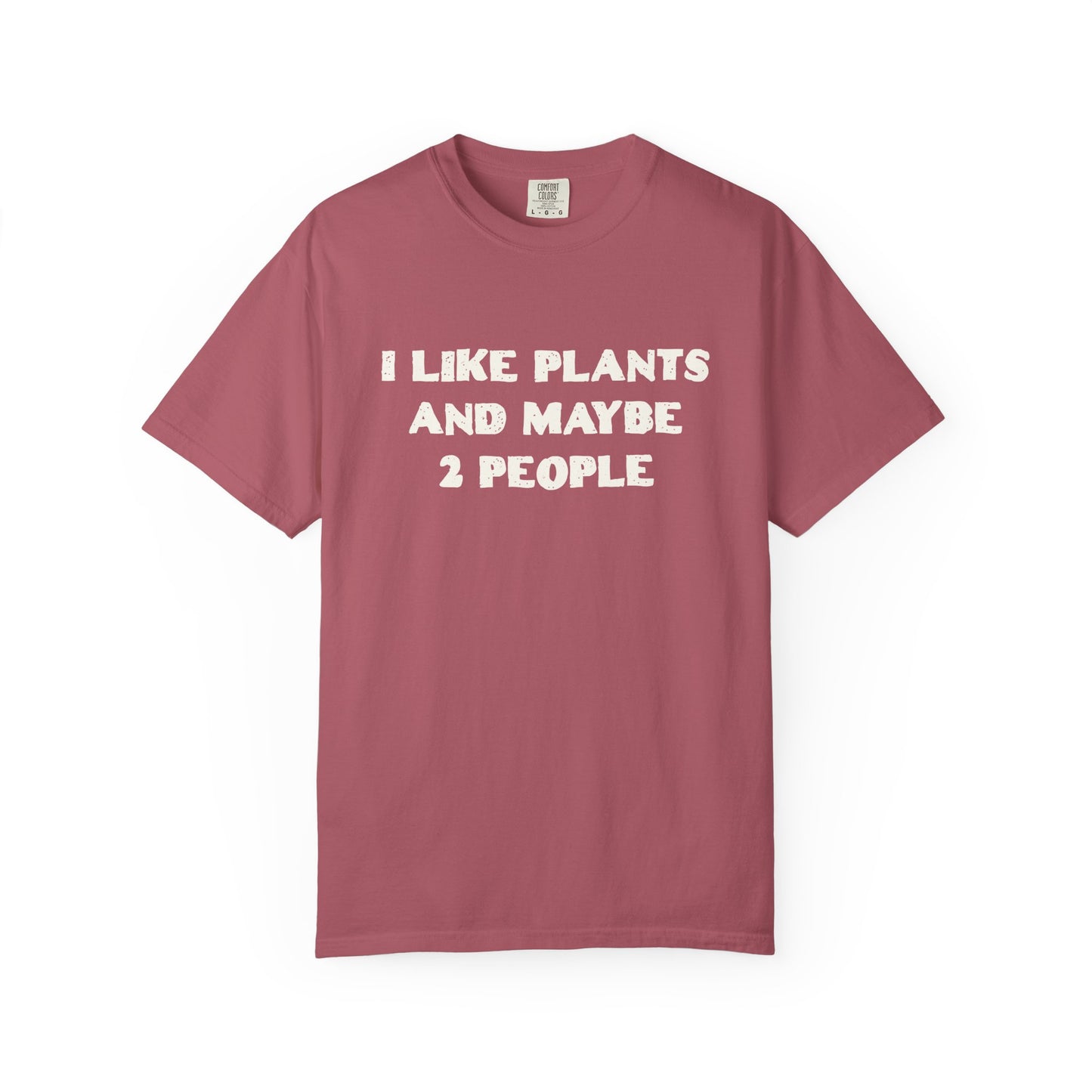 I Like Plants And Maybe 2 People Comfort Colors® Heavyweight T-shirt