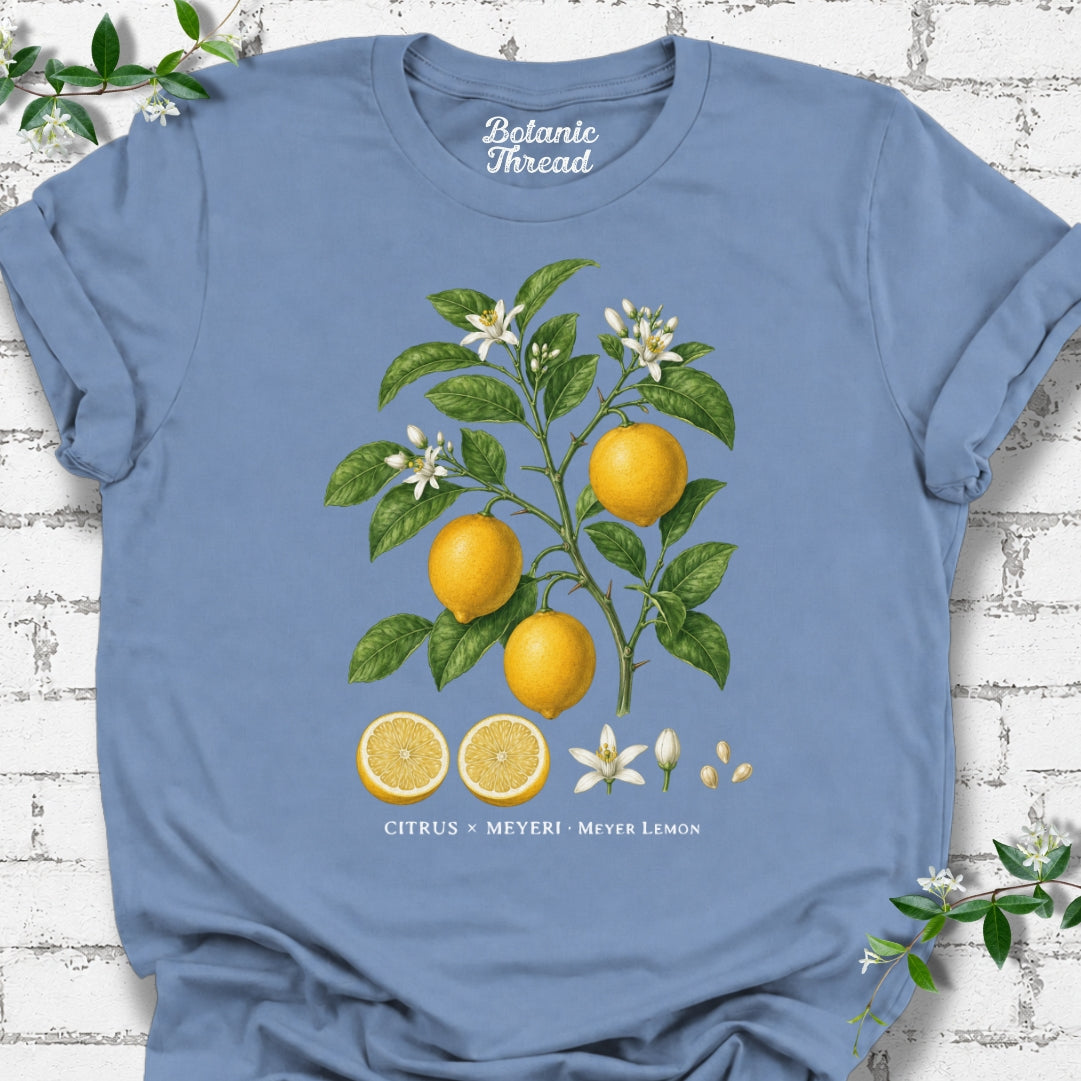 Meyer Lemon Illustration Lightweight Tee
