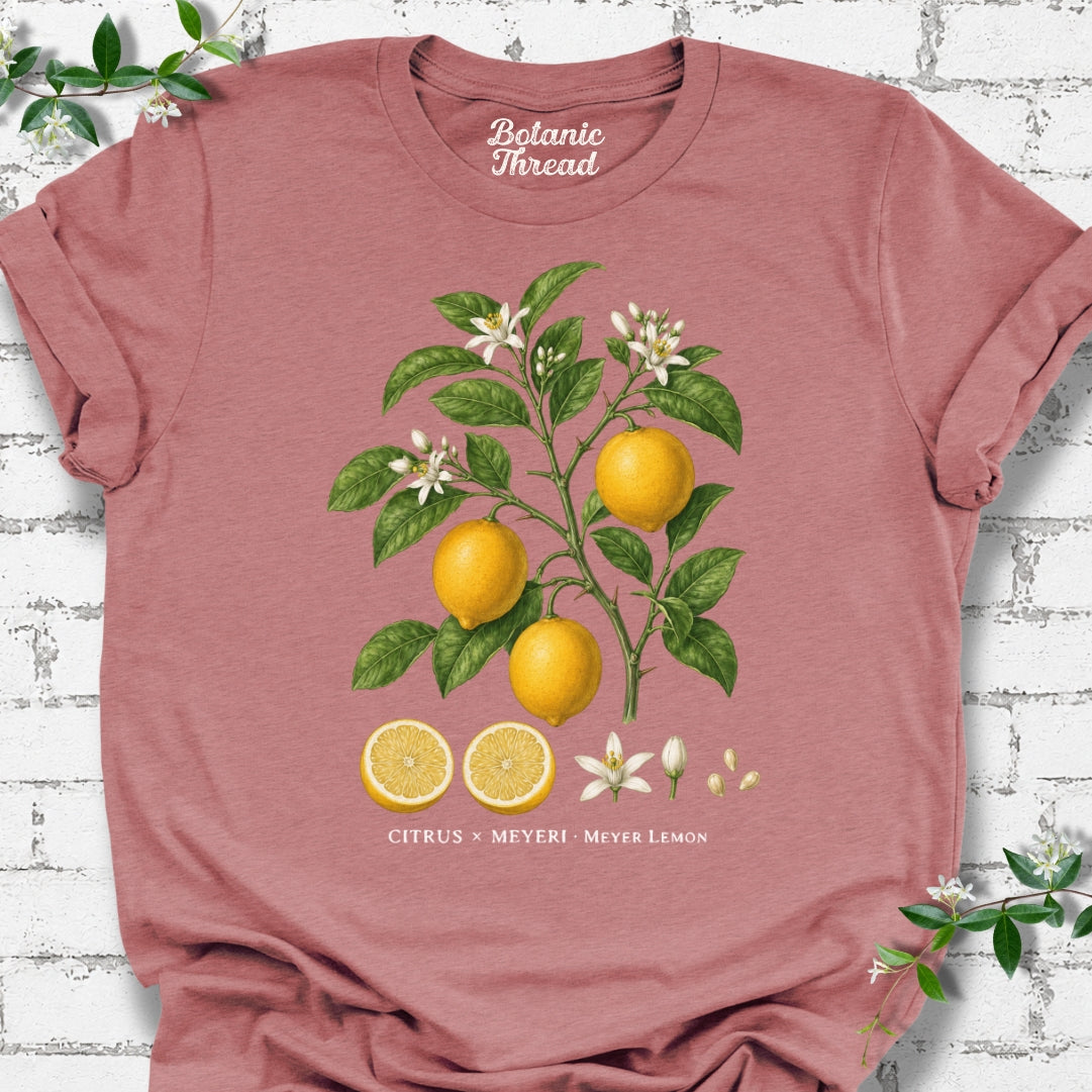 Meyer Lemon Illustration Lightweight Tee