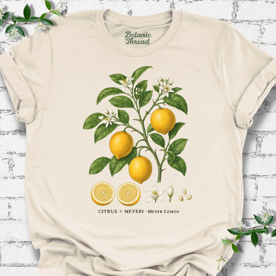 Meyer Lemon Illustration Lightweight Tee