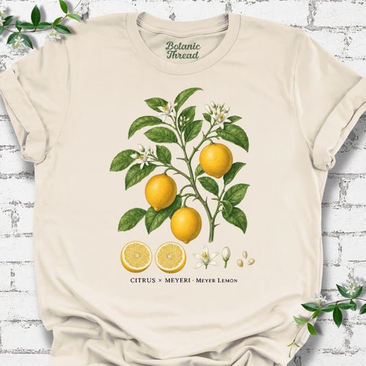 Meyer Lemon Illustration Lightweight Tee