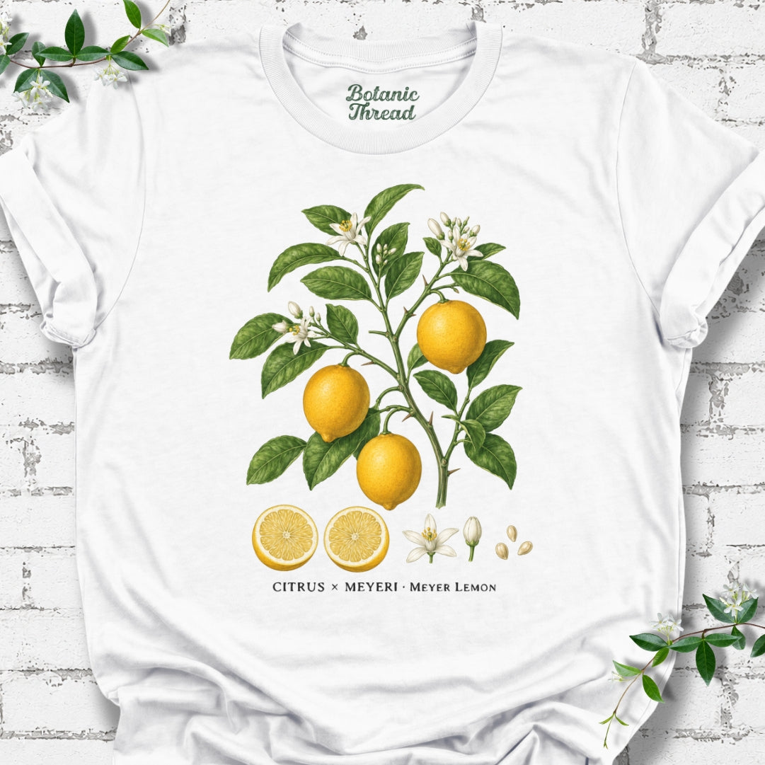 Meyer Lemon Illustration Lightweight Tee