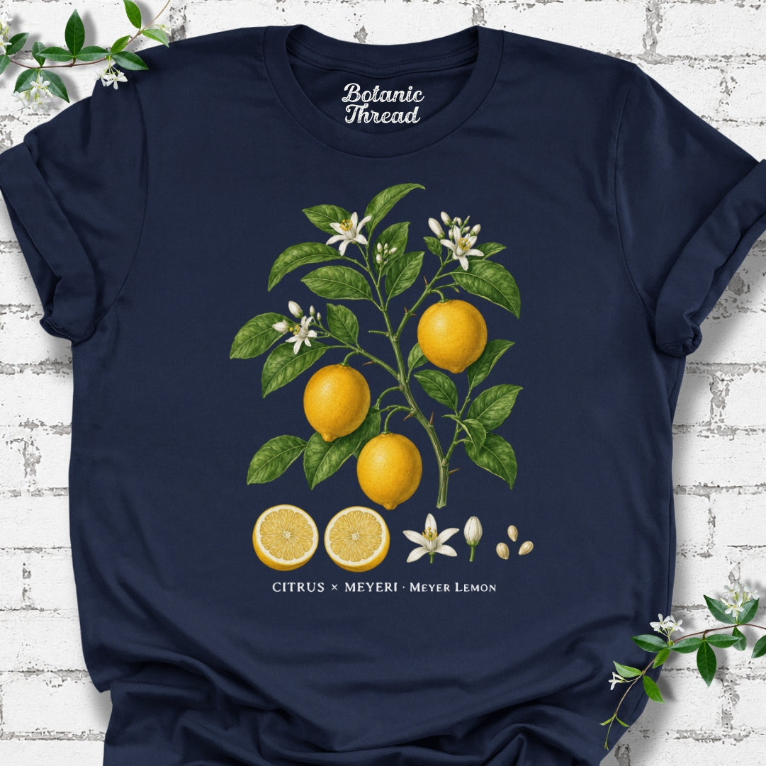Meyer Lemon Illustration Lightweight Tee