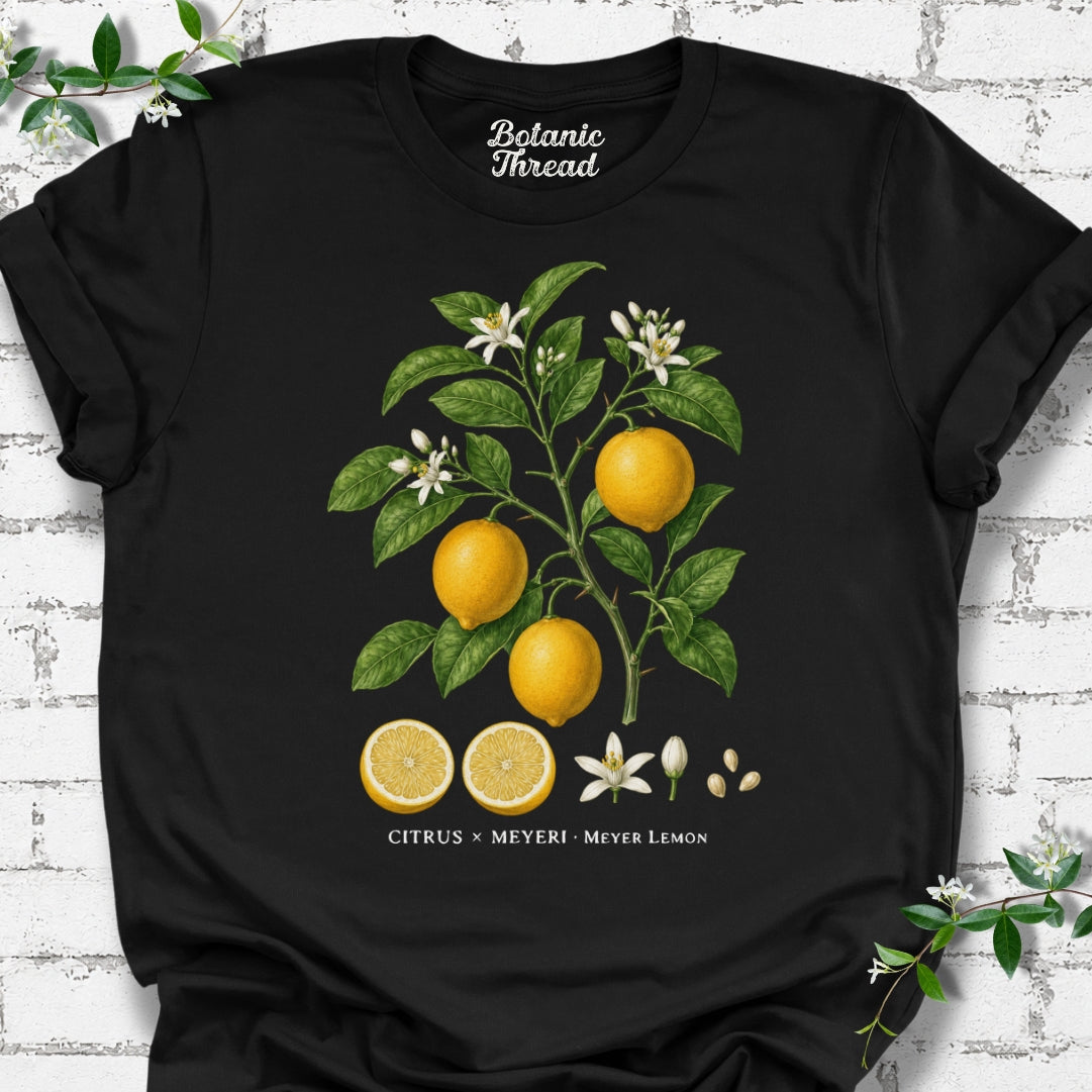 Meyer Lemon Illustration Lightweight Tee
